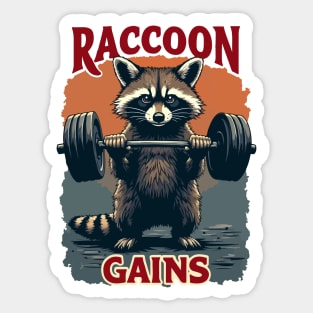 Raccoon Fitness Gains Sticker